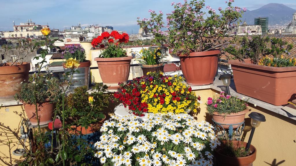 Appartamentino San Gregorio Armeno&rooms * Napoli